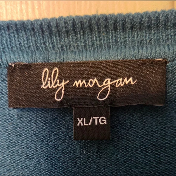 Blue V-Neck Sweater - Picture 5 of 6